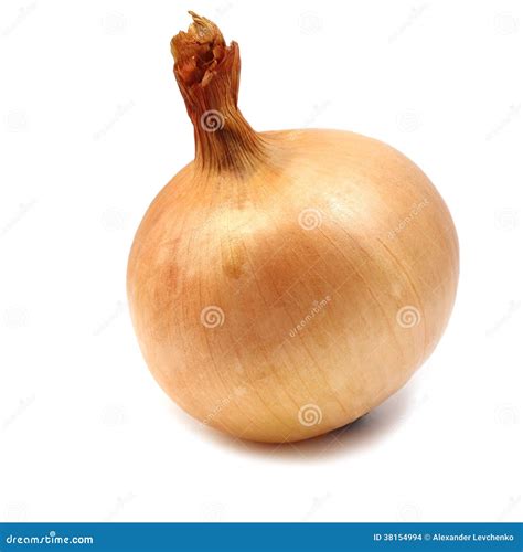 Large onion stock photo. Image of amino, onion, bodies - 38154994