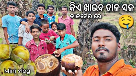 ଆସ ଖଇଯବ ତଳ ସଜ ତଳଚର ର TALCHER Village vlog Food