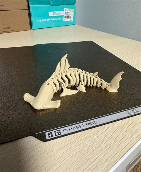 Hammerhead Shark Bones - 3D model by littletup on Thangs