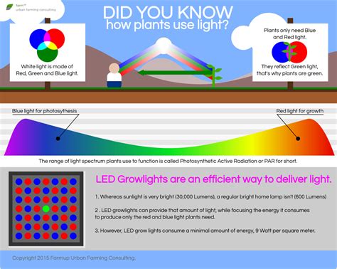 How Plants Use Light Farmup