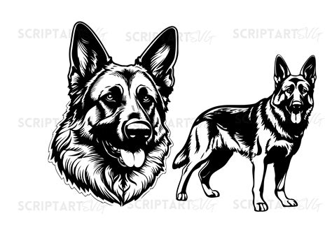 German Shepherd Svg File Silhouette German Shepherd Profile Vector