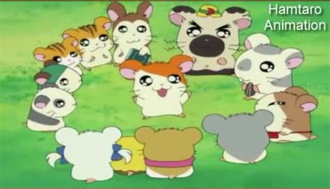 Image Img 20150601 221614  The Hamtaro Wiki Fandom Powered By Wikia