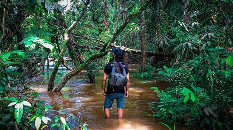 Menyusuri Hutan Di Tepian Sungai YouTube