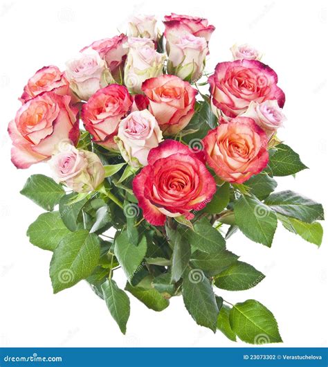 mazzo  rose rosse vantity red  mazzo  rose rosse florempire