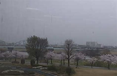 久留米百年公園・筑後川 ライブカメラと雨雲レーダー福岡県久留米市 Fukuoka Outdoor