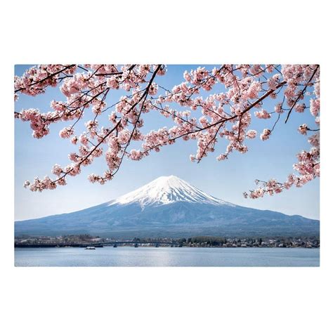 Kirschbl Ten Mit Berg Fuji Leinwandbild Im Querformat