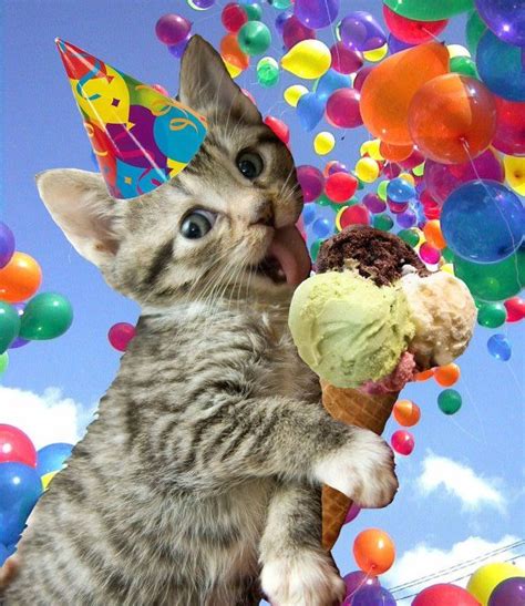 169 best images about "Happy Birthday" Cats... on Pinterest | Cats, Cat ...