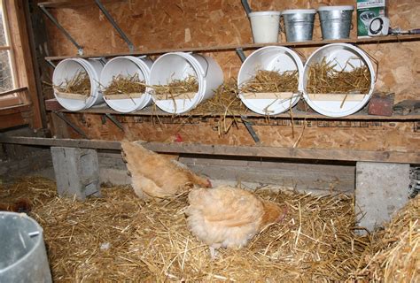 Diy Roll Out Chicken Nesting Boxes