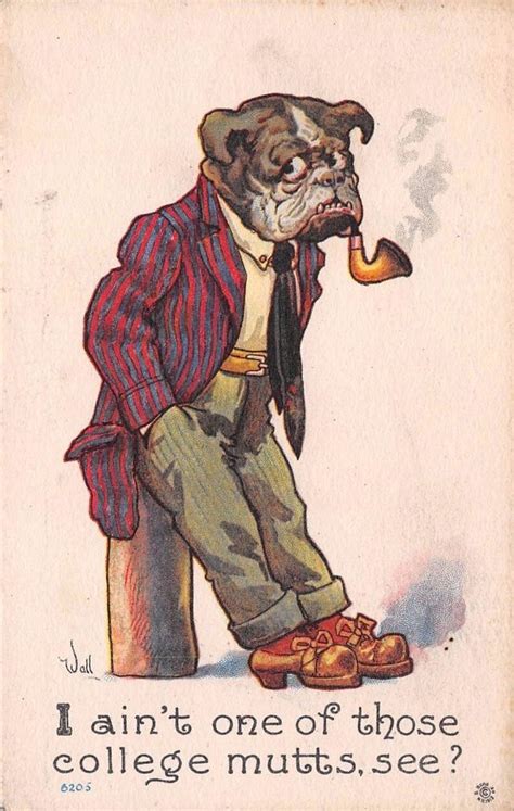 Pin On Mostly Vintage Bulldog Pictures And Postcards 3