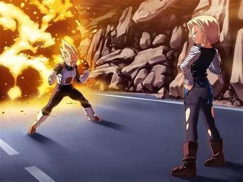 Dragon Ball Vegeta Android 18 Dragon Ball Z Wallpaper Resolution