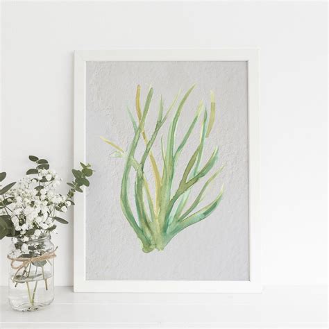 This Hand Painted Watercolor Seaweed Art Print Is The Perfect Way To