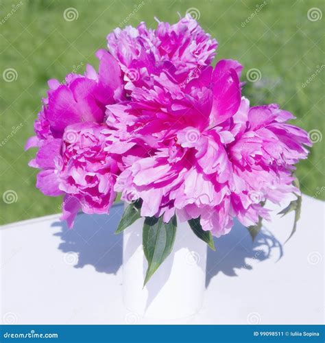 A Bouquet Of Pink Peonies In A Vase Stock Image Image Of Peonies