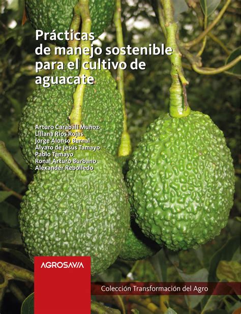 Cartilla Aguacate By Alexander Pereira Mosquera Issuu