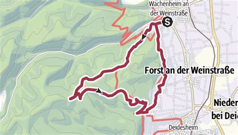 Wachenheim Wachtenburg Eckkopf Tour • Wanderung