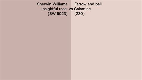 Sherwin Williams Insightful Rose Sw 6023 Vs Farrow And Ball Calamine