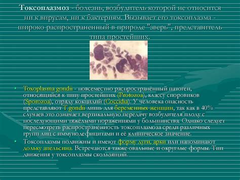 Токсоплазмоз (Toxoplasma gondii) - презентация онлайн