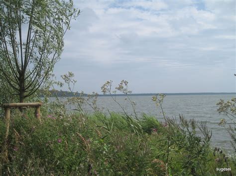 Boot Und Kanu Kleiner Jasmunder Bodden Tour