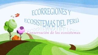 Ecorregiones Y Ecosistemas Del Per Ppt