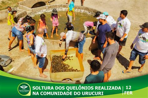 Soltura de Quelônios é realizada na comunidade do Urucuri Prefeitura