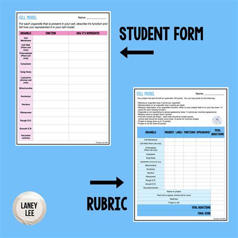 Cell Model Project - Rubric & Guide Printable PDF - Laney Lee