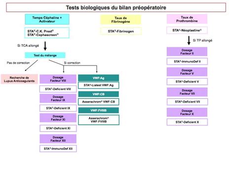 Bilan Pr Op Ratoire Quels Sont Les Tests R Aliser Stago