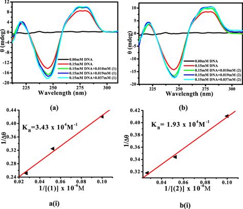 Circular Dichroism CD Spectra Of CtDNA 0 15 MM In The Absence Red