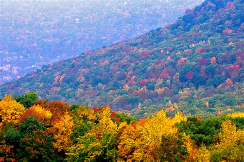 Arkansas Fall Foliage Map 2025 Candi Corissa
