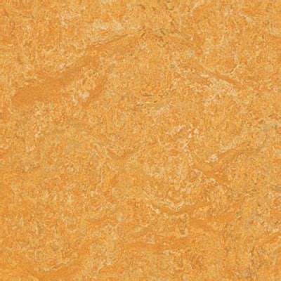 Forbo Golden Saffron Vinyl Flooring