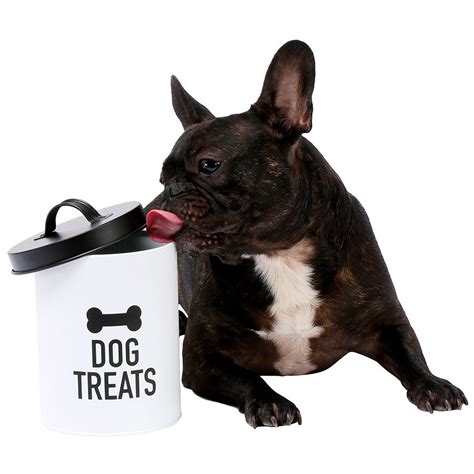 Perfect Pet Dog Treat Tin White Big W