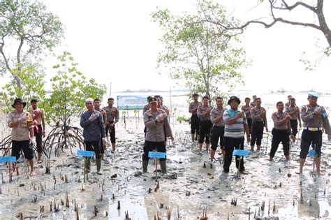 Sambut Hut Humas Polri Ke Polresta Pangkalpinang Tanam Mangrove Di