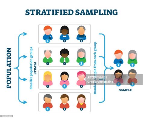 Ejemplo De Muestreo Estratificado Diagrama De Ilustración Vectorial Ilustración De Stock Getty