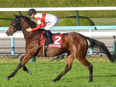 【朝日杯fs 調教後馬体重】ダノンタッチダウンは538kg、ドルチェモアは480kg 競馬ニュース Netkeiba