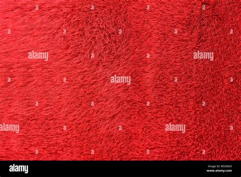 Red Natural Dyeing Fur For Background Stock Photo Alamy