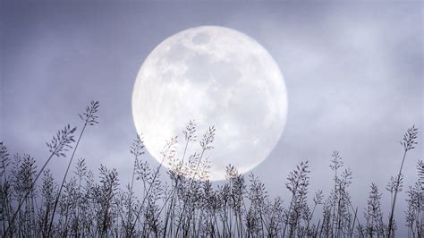 Luna Llena De Febrero 2024 O Luna De Nieve Una Microluna Llena De Magia