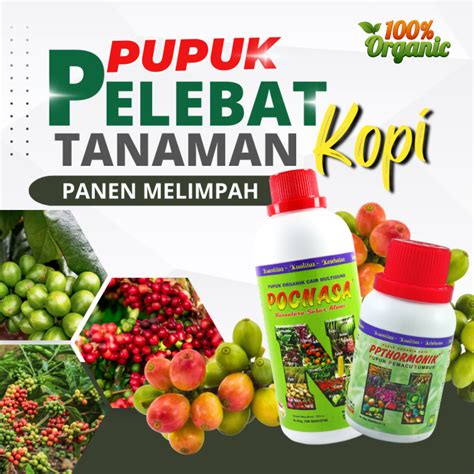 Pupuk Kopi Agar Berbuah Lebat Pupuk Kopi Paling Bagus Pupuk Kopi Baru Tanam Pupuk Kopi Terbaik