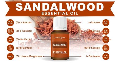 Sandalwood Essential Oil The Complete Uses And Benefits Guide