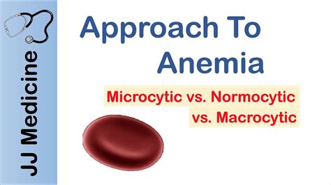 Anemia Microcytic Vs Normocytic Vs Macrocytic Youtube