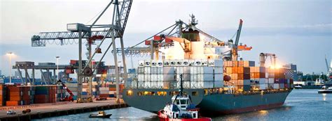 Synergyshipping.in