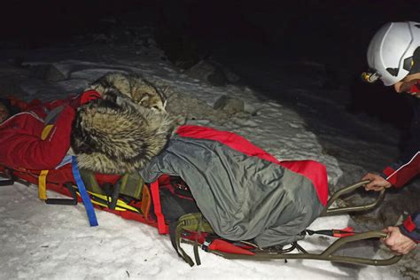 Perro Salva A Su Due O De Congelarse Tras Caer Y Lesionarse En Monta A