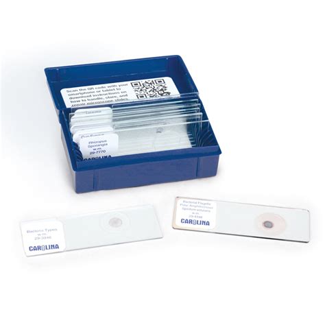 Bacteria and Fungi Microscope Slide Set | Carolina Biological Supply