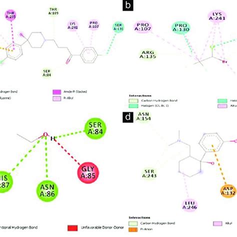 Specific Binding Site Of Several Compounds In Serine Racemase