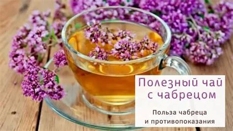 Чай с чабрецом. как заваривать. полезные свойства чабреца. - Смотреть ...