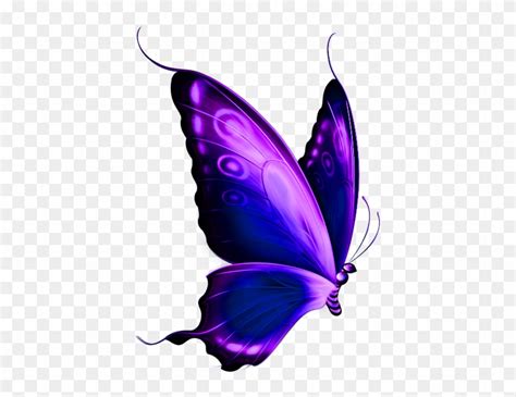 Purple Butterfly Clipart Free Clip Art Library Purple And Blue