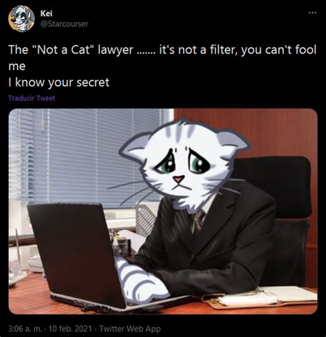 I Know Your Secret By Starcourser Zoom Cat Lawyer Im Not A Cat