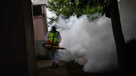 Guatemala Declara Emergencia Nacional Por Epidemia De Dengue Noticias