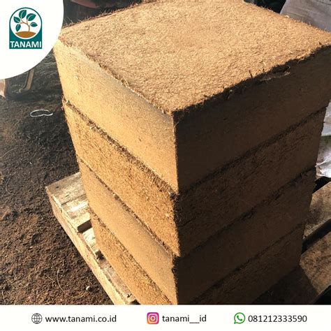 Manfaat Cocopeat Block Dan Penggunaan Di Dunia Hidroponik Jual Coco