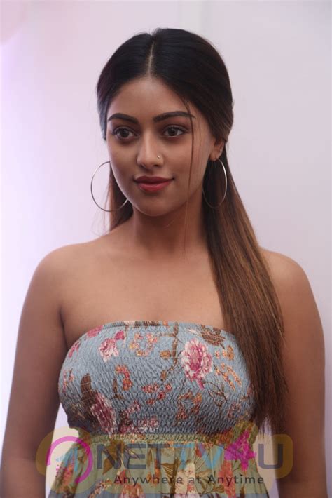 Actress Anu Emmanuel Hot Images 531314 Galleries HD Images