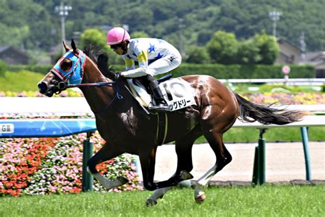 【2歳新馬】ビッグドリームが断然人気に応えて6馬身差の圧勝 幸「調教通りしっかり走れました」東スポ競馬 Goo ニュース