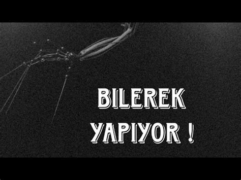 BU OYUN BENİ DUYUYOR PROJECT PLAYTİME YouTube