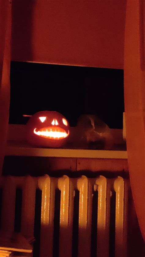 My First Jacko Lantern Rhalloween